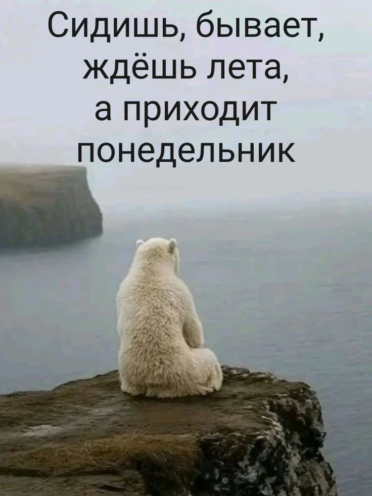 ☕ Доброе утро, понедельник! Начинаем неделю с плюса и дождя