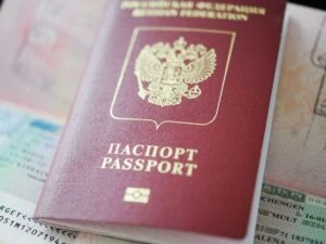 Овсянка подождет: британский визовый портал воскрес назло осенней хандре и техническим ...