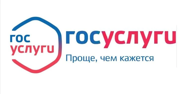 Как за 5 минут проверить подлинность любого товара через приложение «Госуслуги».