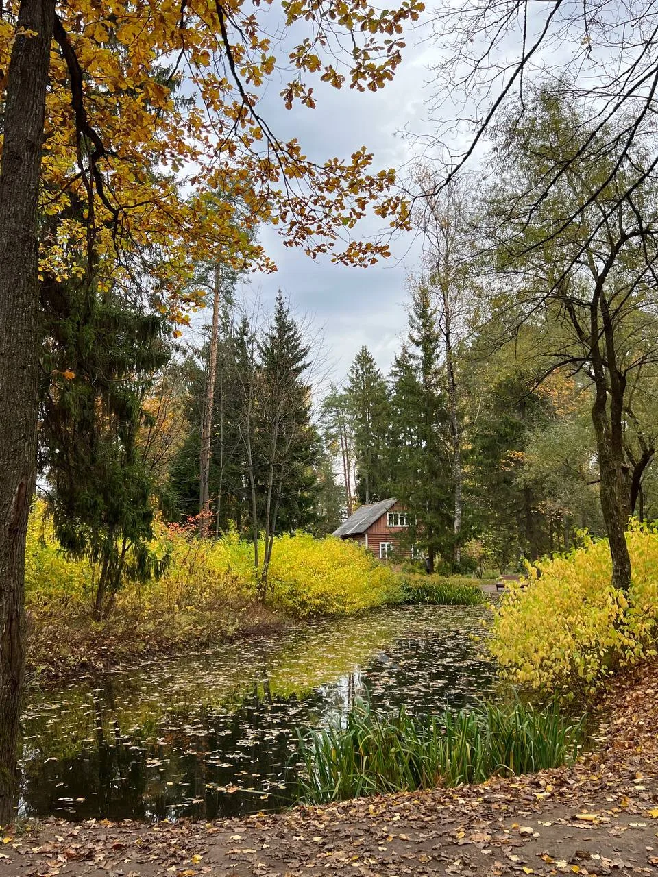 Красивейшая разноцветная осень в городке писателей в Переделкино.
