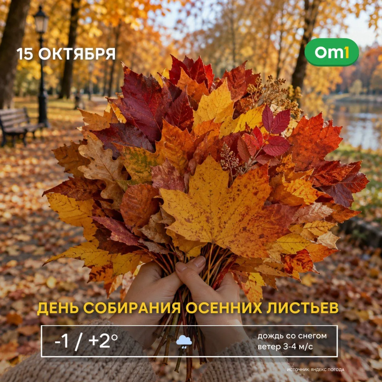 💚 Доброе утро, Новосибирск