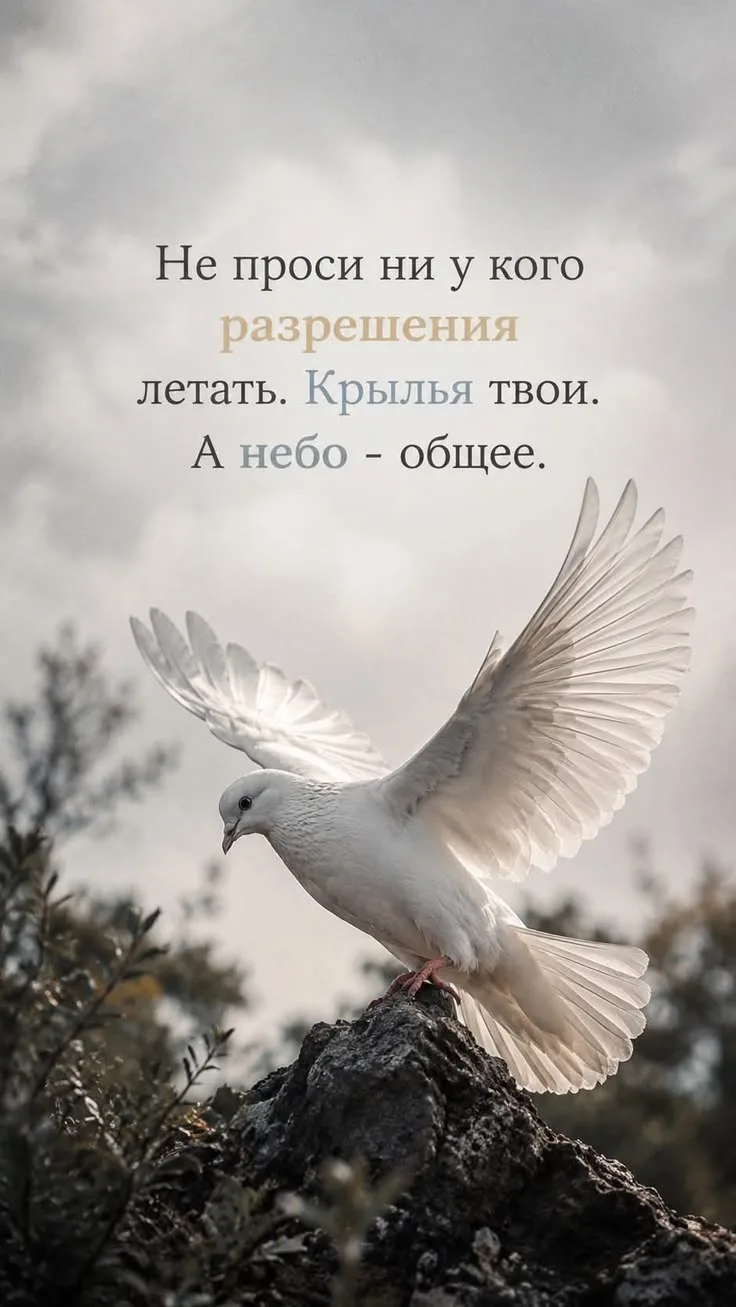 МИР ПОЗИТИВА 🤩 ОТКРЫТКИ!!