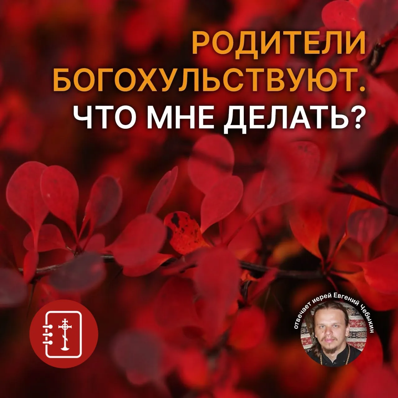 Крестилась я год назад, до этого была атеисткой. Папа отнёсся нейтрально, но мама — оче...