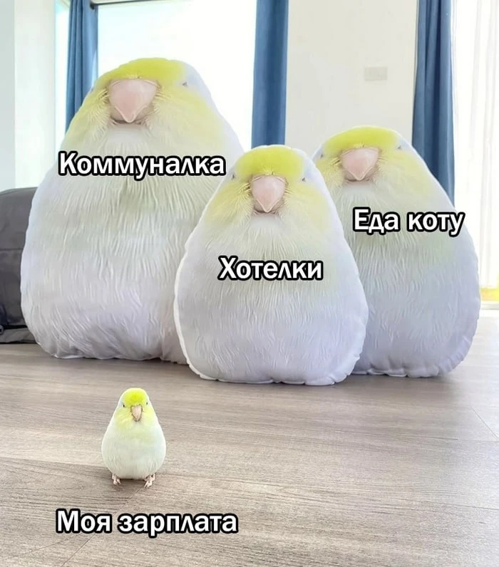 Средняя зарплата в Оренбурге составила 79,6 тысячи рублей.