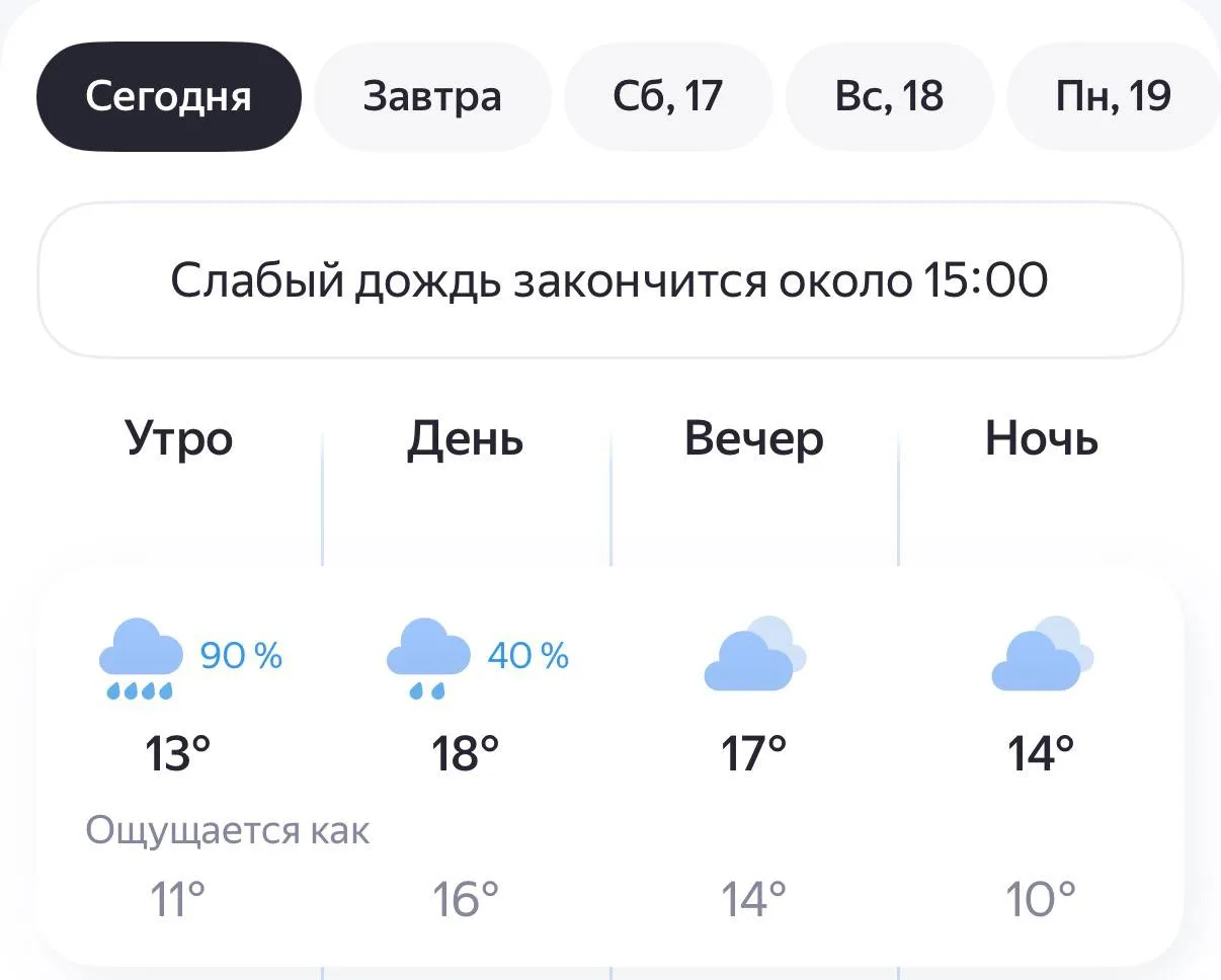 Погода в Россоши сегодня 🌧️