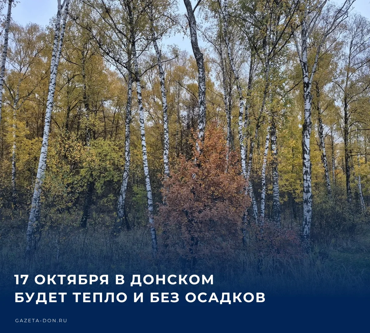 🌤️ Завтра днем погода в Донском будет в основном облачная, местами с прояснением, без ...