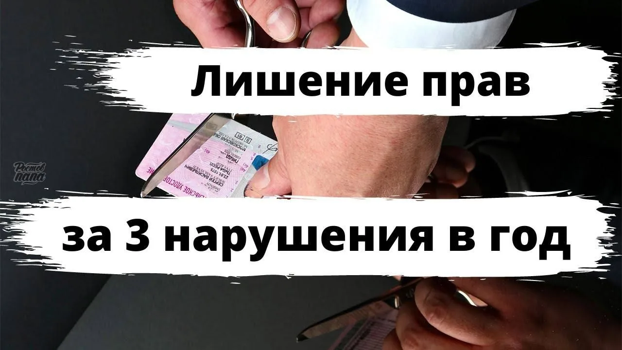 **🚗 Водителей хотят лишать прав за частые нарушения!