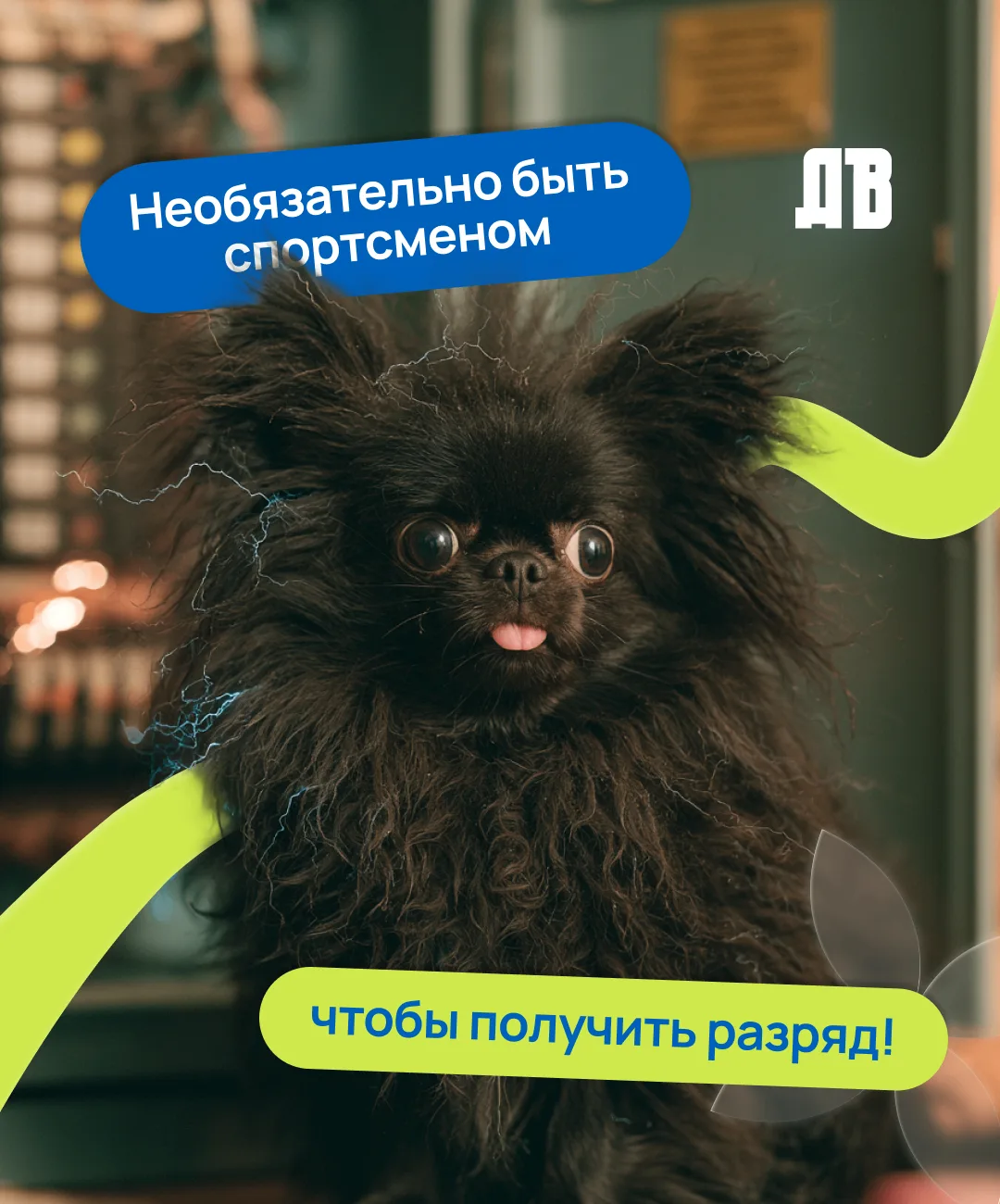 Дальний Восток — регион больших проектов!