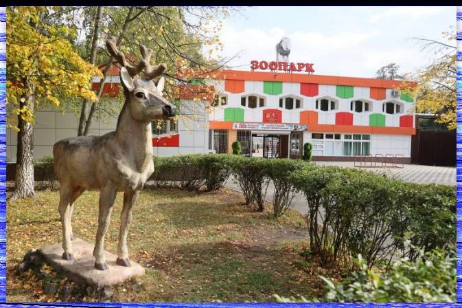 В Липецке предложили строительство нового зоопарка, который будет оснащён более совреме...