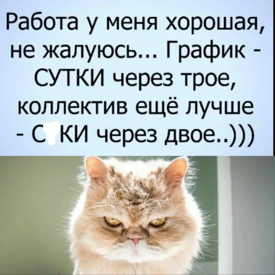 КОГДА РАБОТА ХОРОШАЯ, НО С КОЛЛЕГАМИ ПОВЕЗЛО ЕЩЕ БОЛЬШЕ!