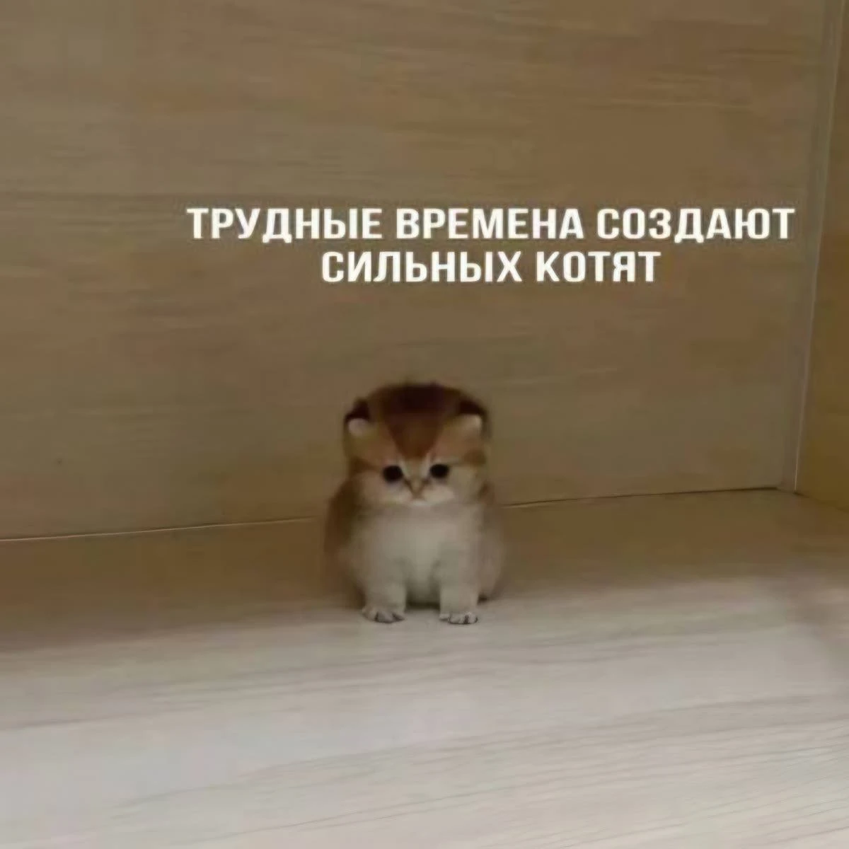 Доброе утро, Югра!