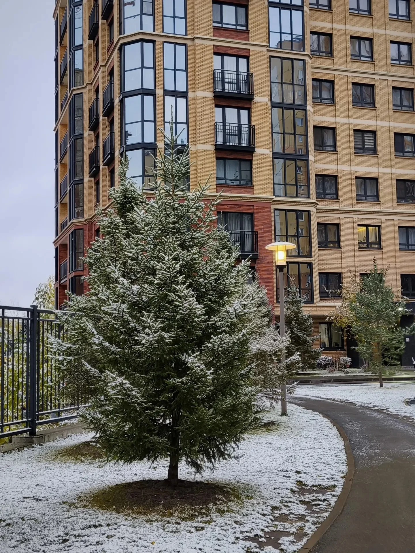 Новосибирск, середина октября 😍❄️