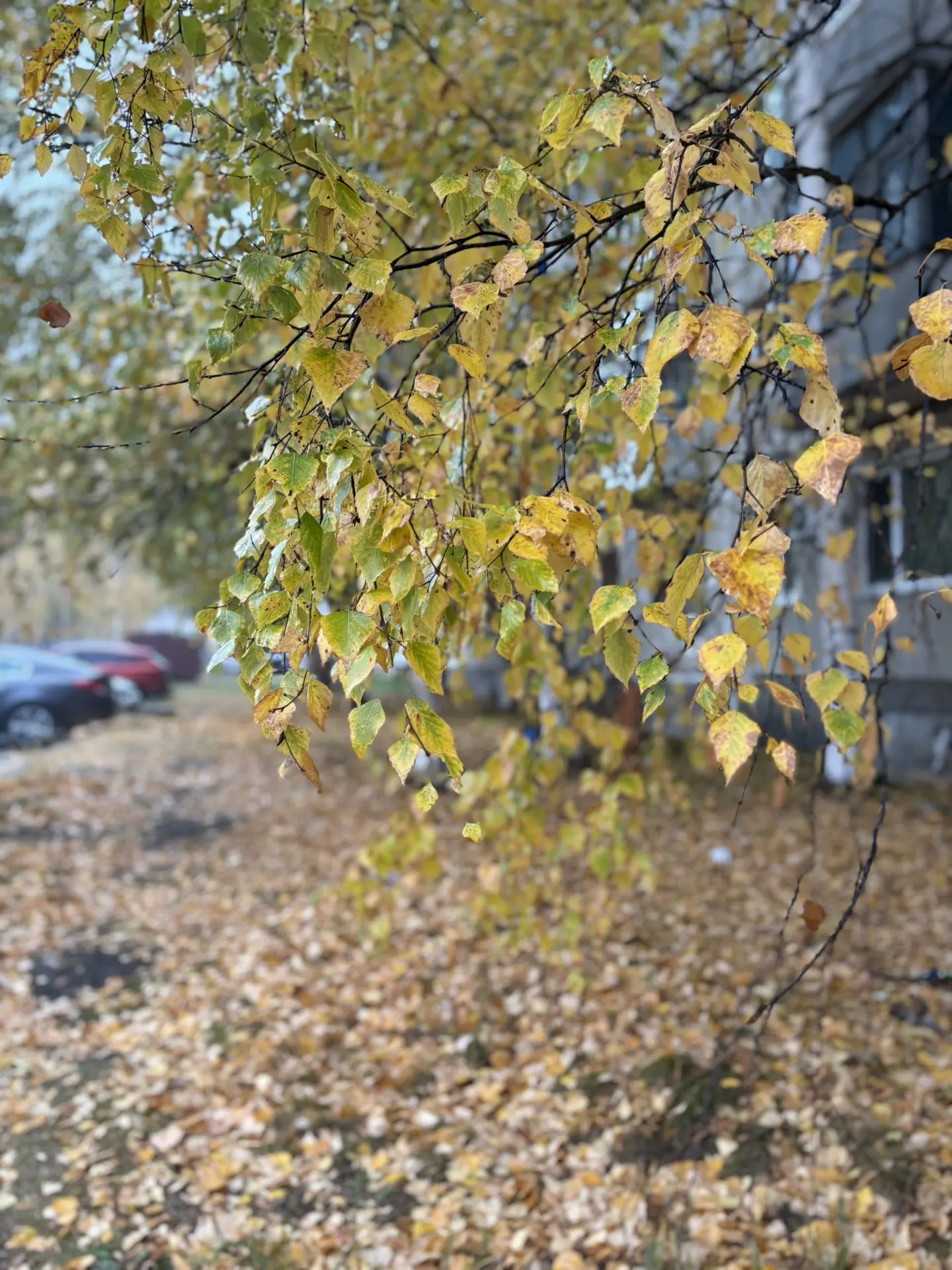 ♥️Доброе утро!