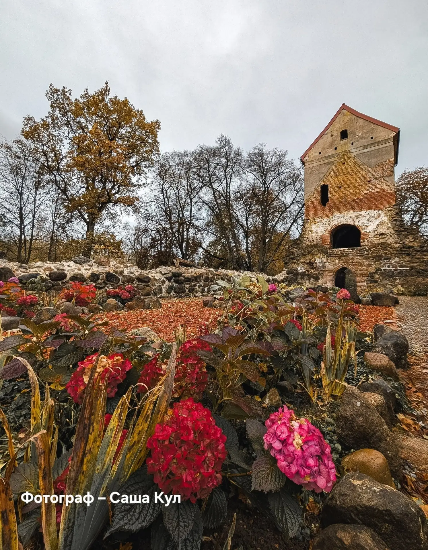 Кирха Шёнвальде✨