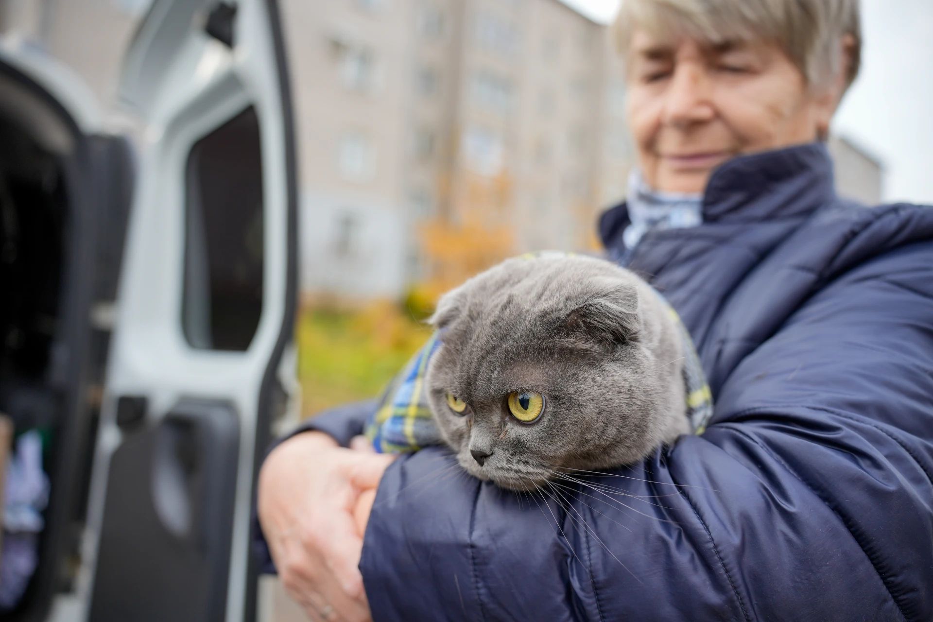 🐈 В Кировской области продолжается плановая выездная кампания по вакцинации домашних и...