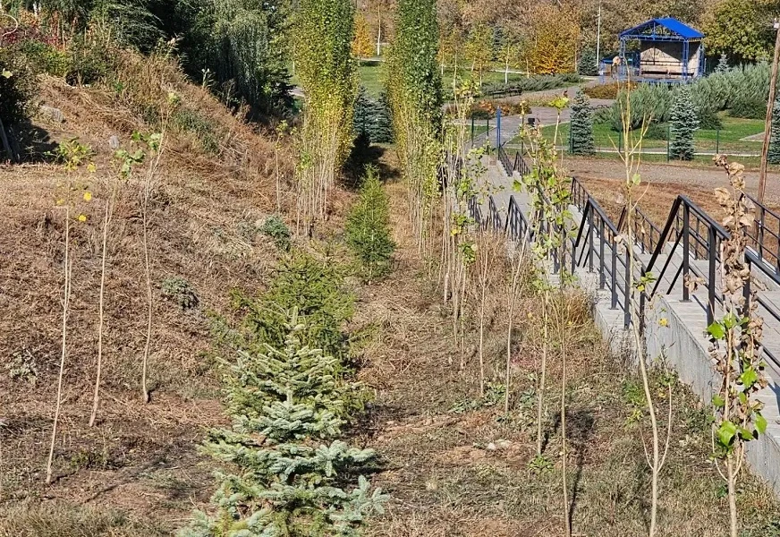 В Татарской Каргале продолжаются работы по благоустройству села
