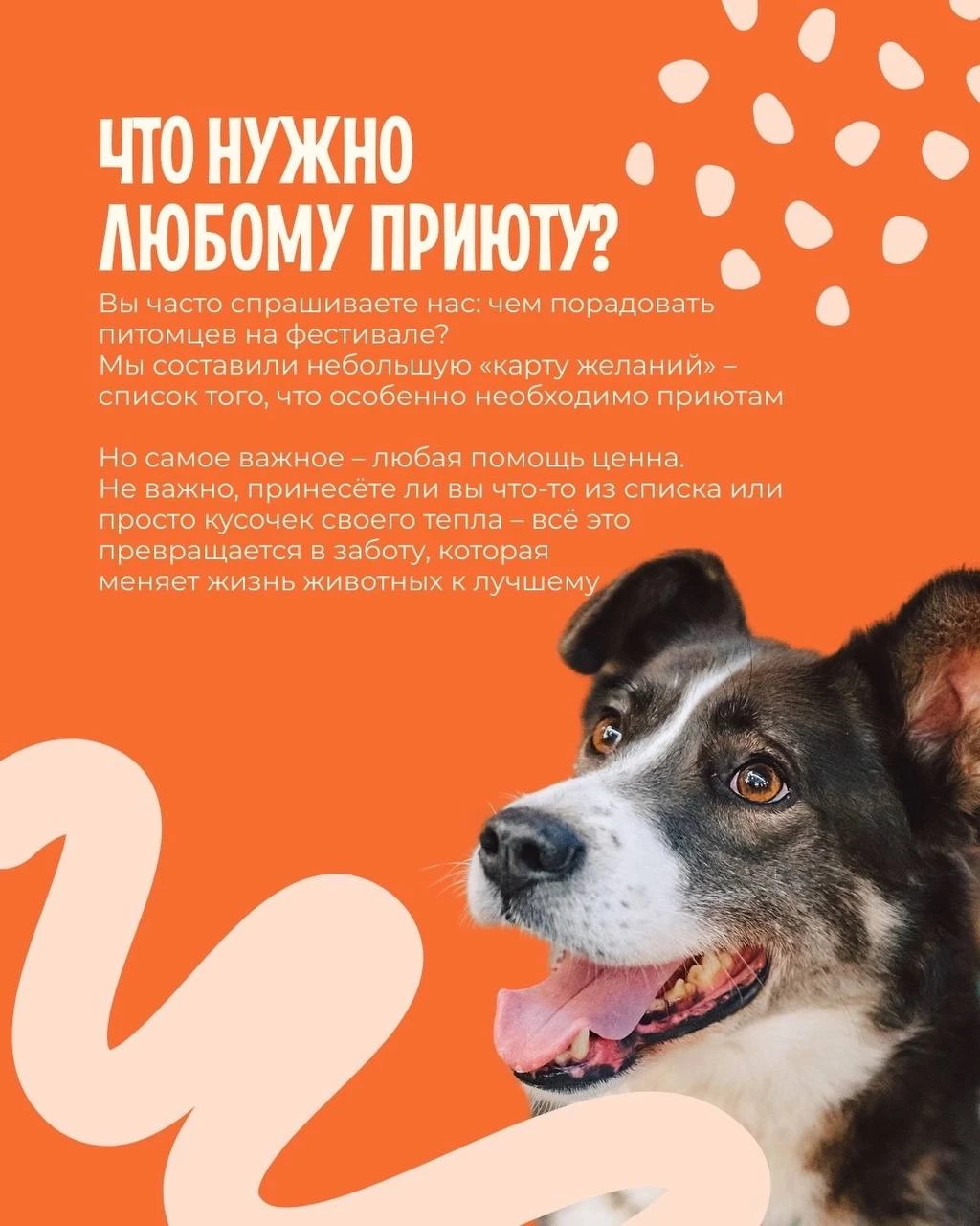 Друзья, уже завтра встречаемся на WOOF FEST в Москве 🧡