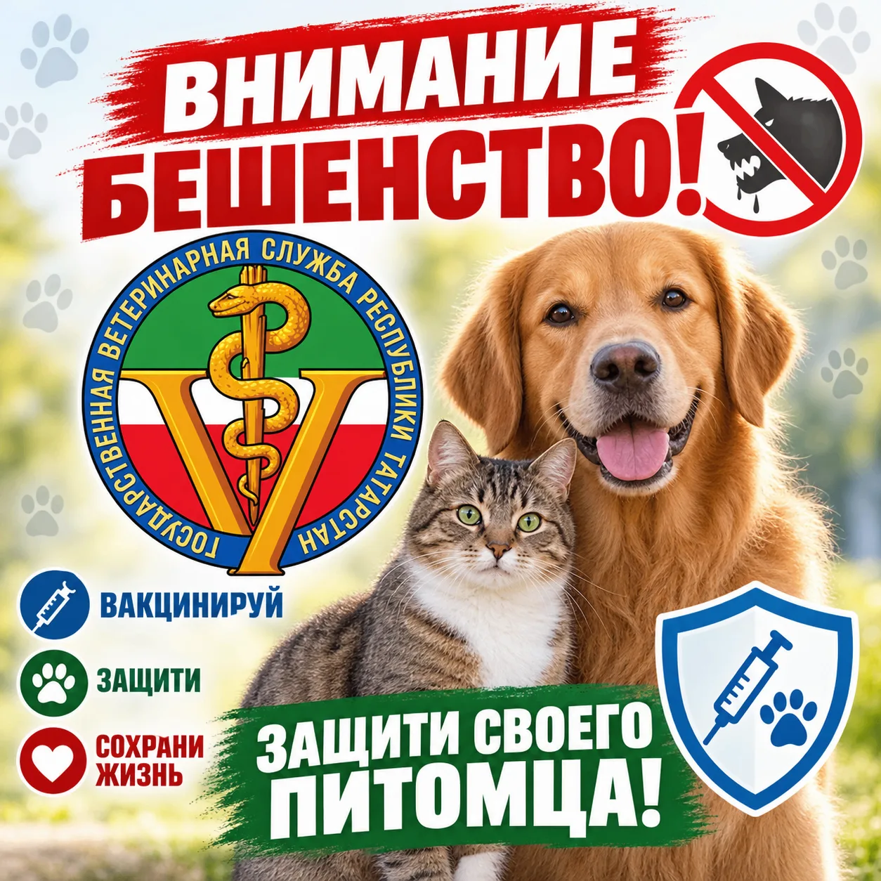 Бешенство — смертельно опасное вирусное заболевание, поражающее нервную систему. После ...