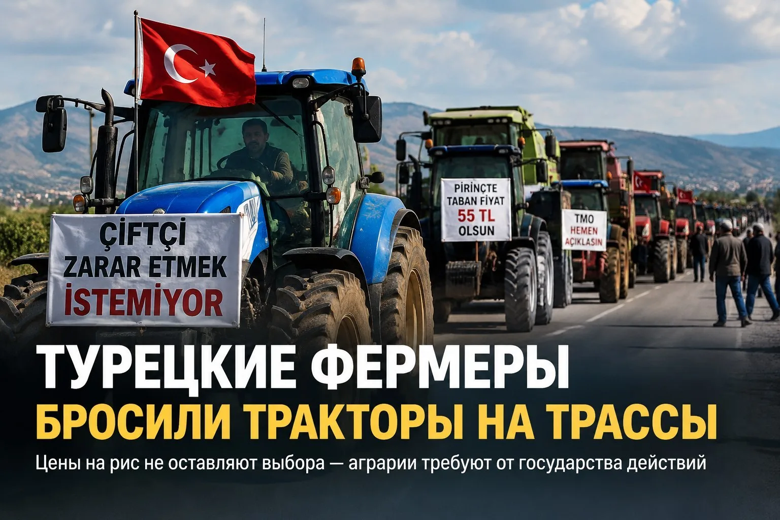 🚜 Турецкие фермеры бунтуют: цены на рис не оставляют выбора