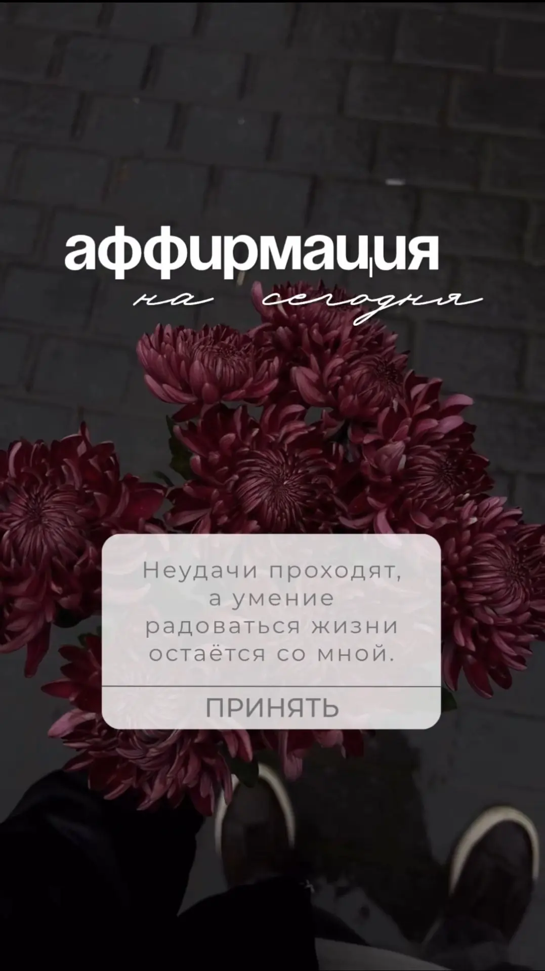 Неудачи проходят, а умение радоваться жизни остаётся со мной.