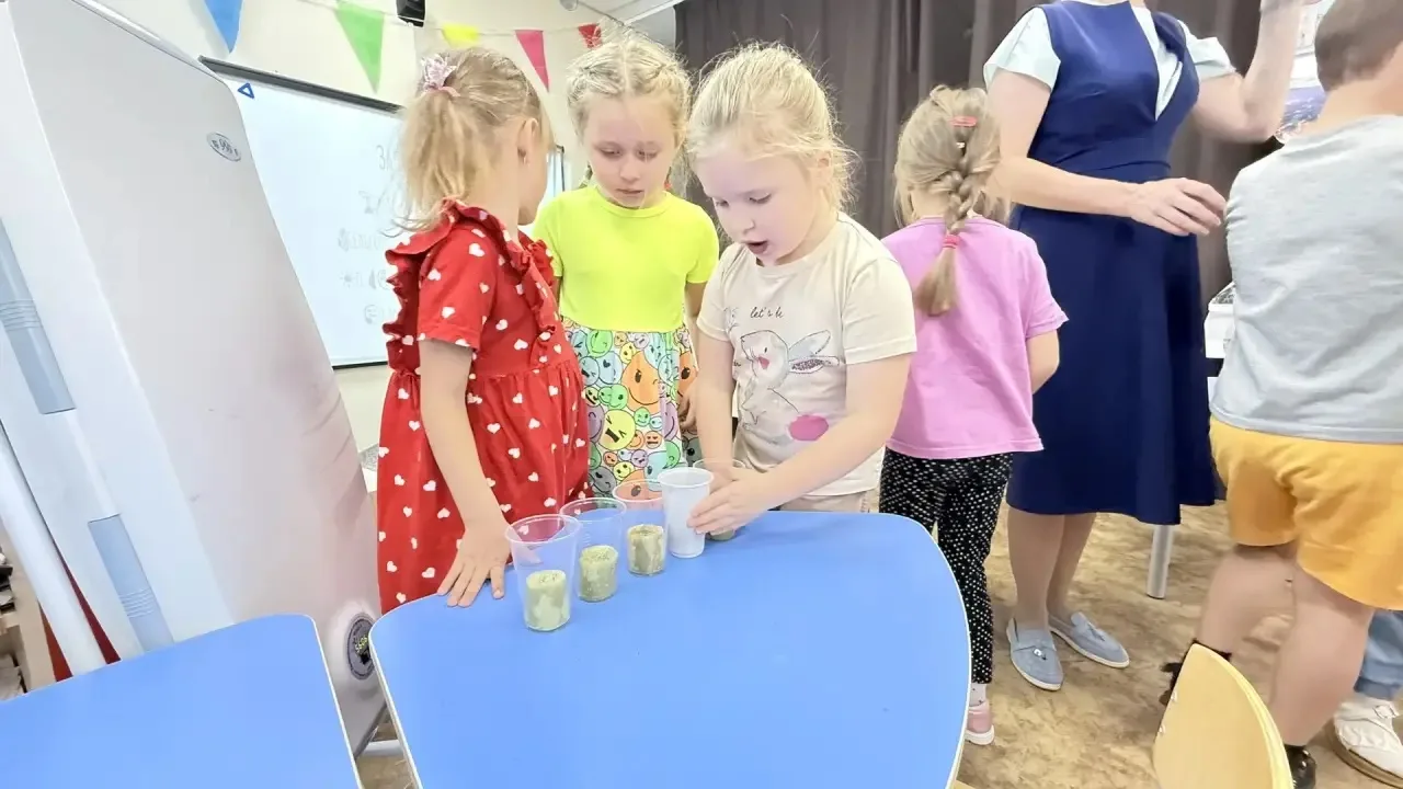 🌱 ЧТО ТАКОЕ ЭКО-САД?