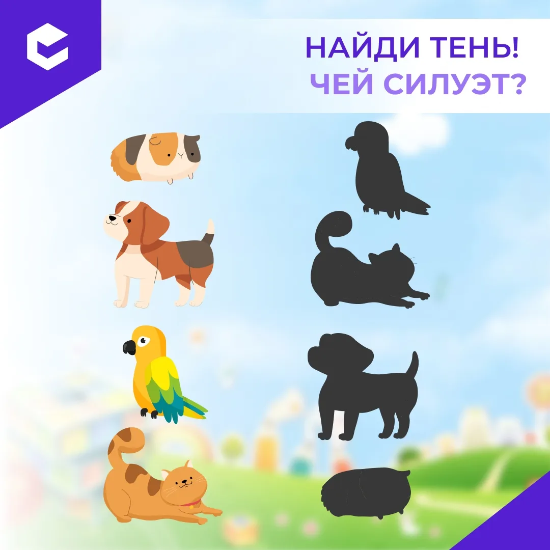 🐾 Чья это тень? Игра для маленьких сыщиков!