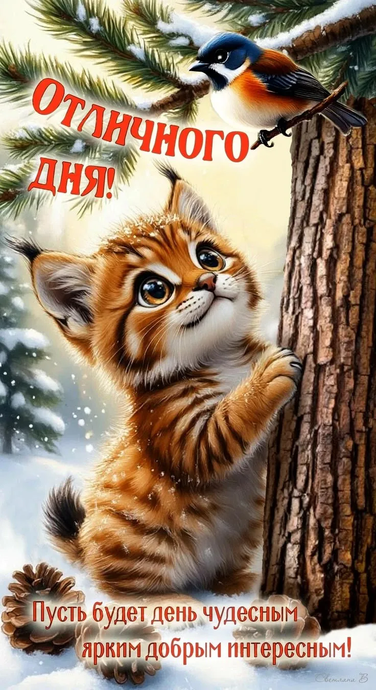 🙏Оставляйте реакции, если понравилась открытка и делитесь с близкими ❤️