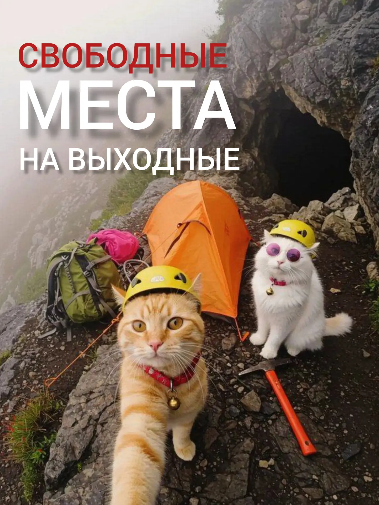 Места на выходные: