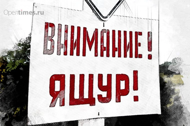 🐄 С 8 октября 2026 года в Забайкальском крае введен режим повышенной готовности из-за ...