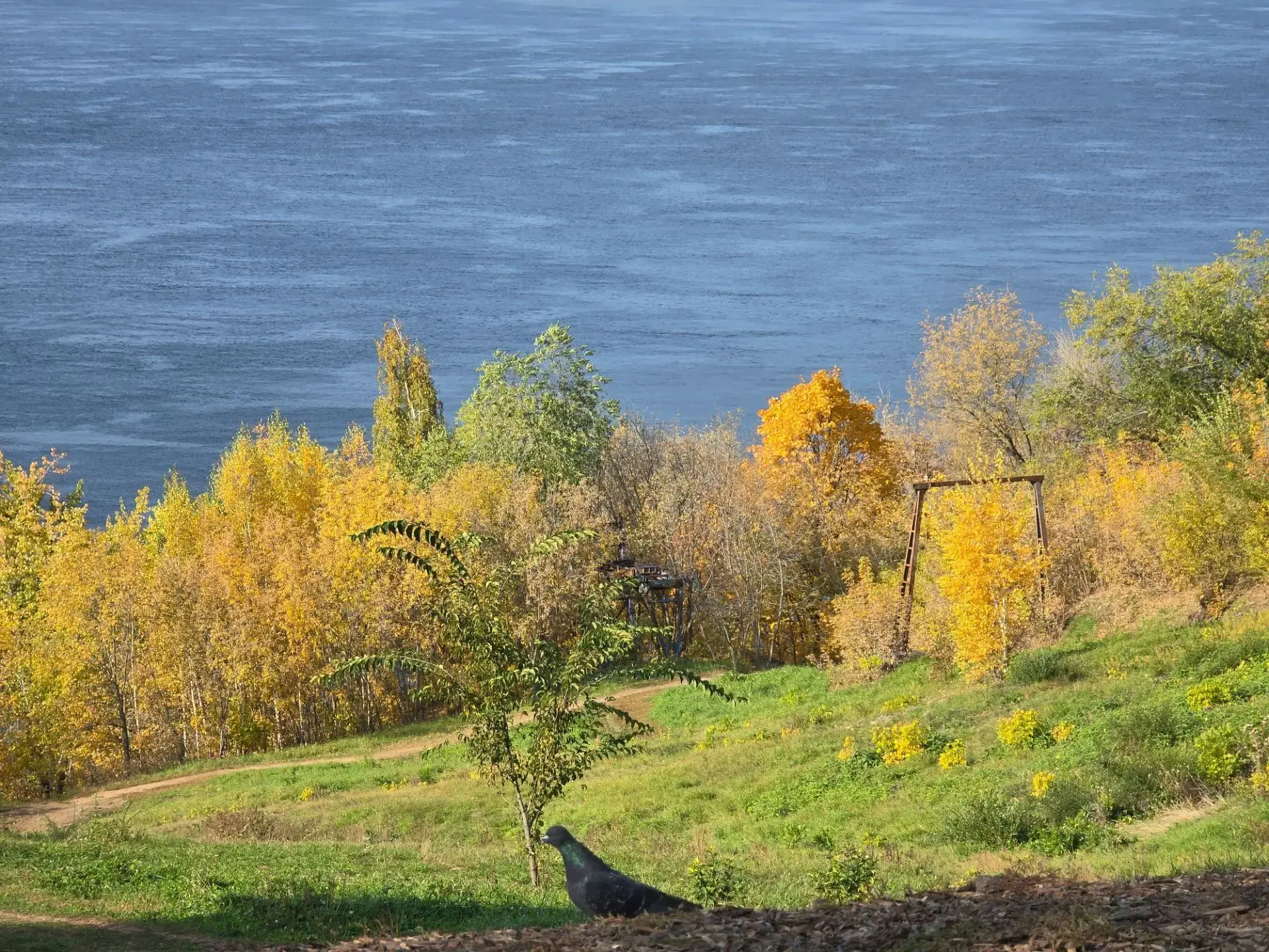🍁 Осенняя тишина Загородного парка