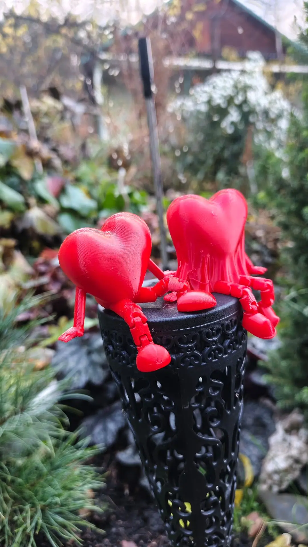 Когда любовь расцветает ✨ даже в самом укромном уголке сада 🌼🌸