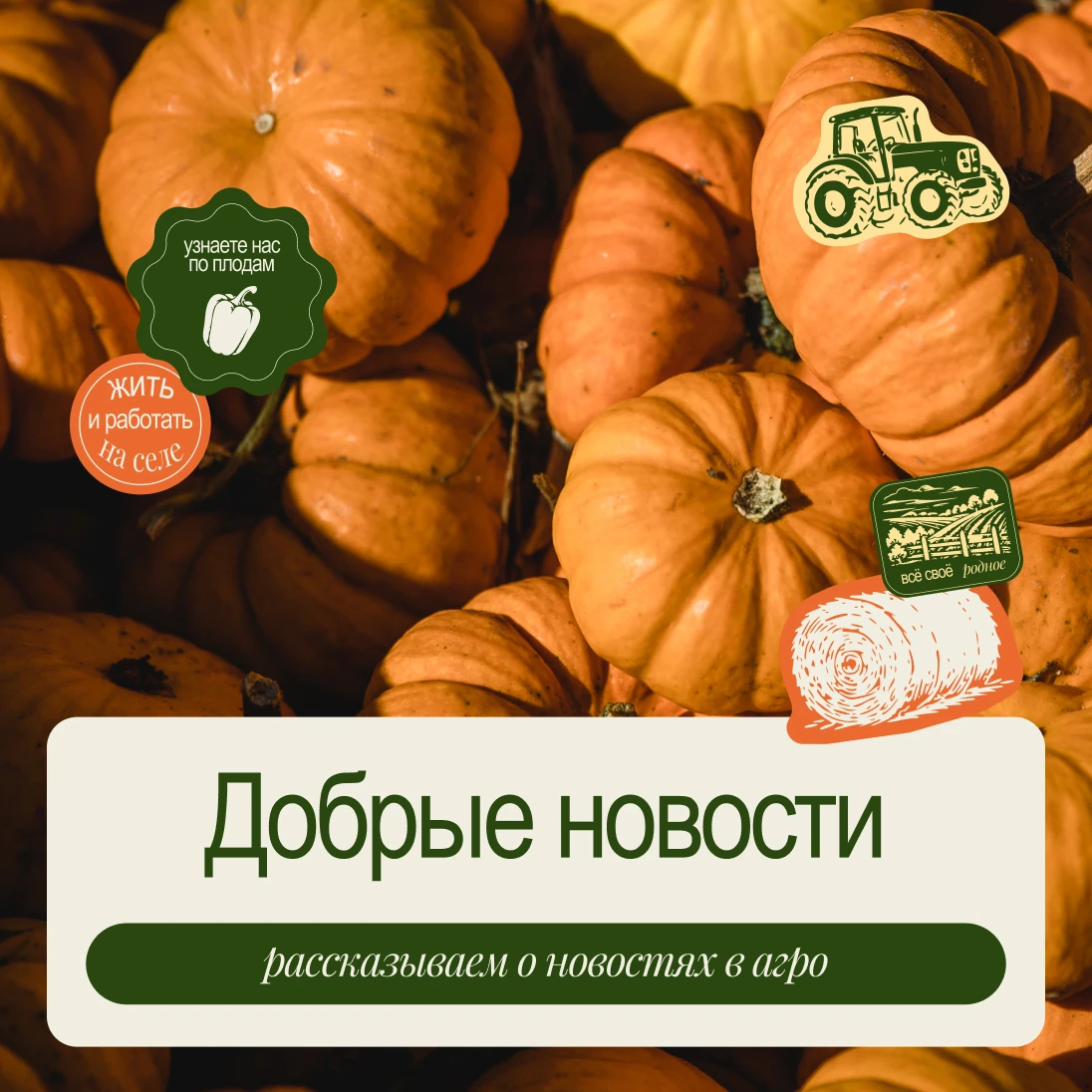 Еженедельный дайджест хороших новостей из сферы АПК⚡
