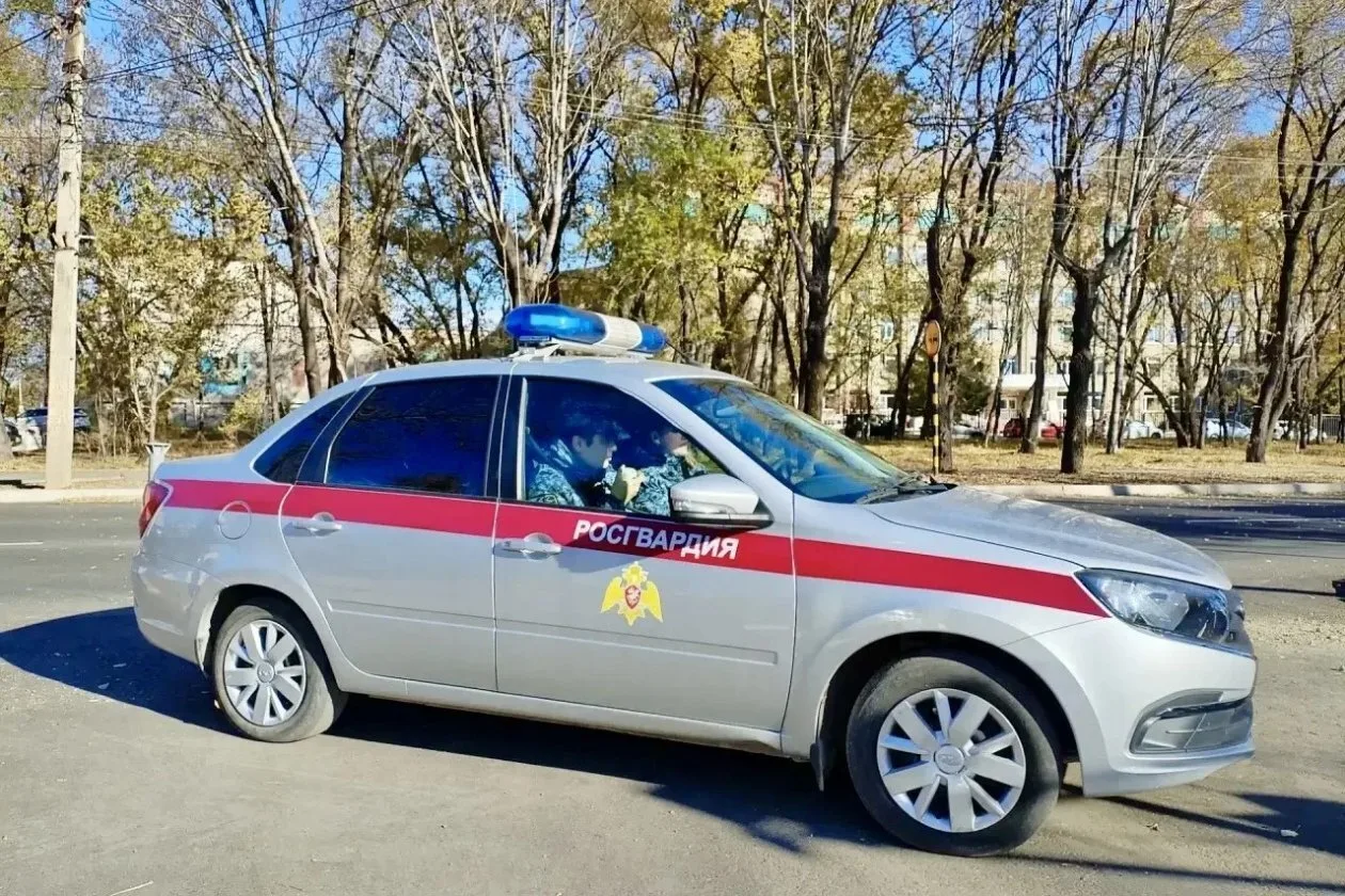 🚨 Почему машины Росгвардии стали постоянно ездить с мигалками - разъяснение