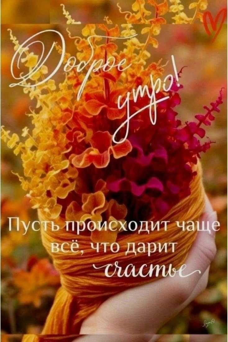 🎀 Красивые открытки