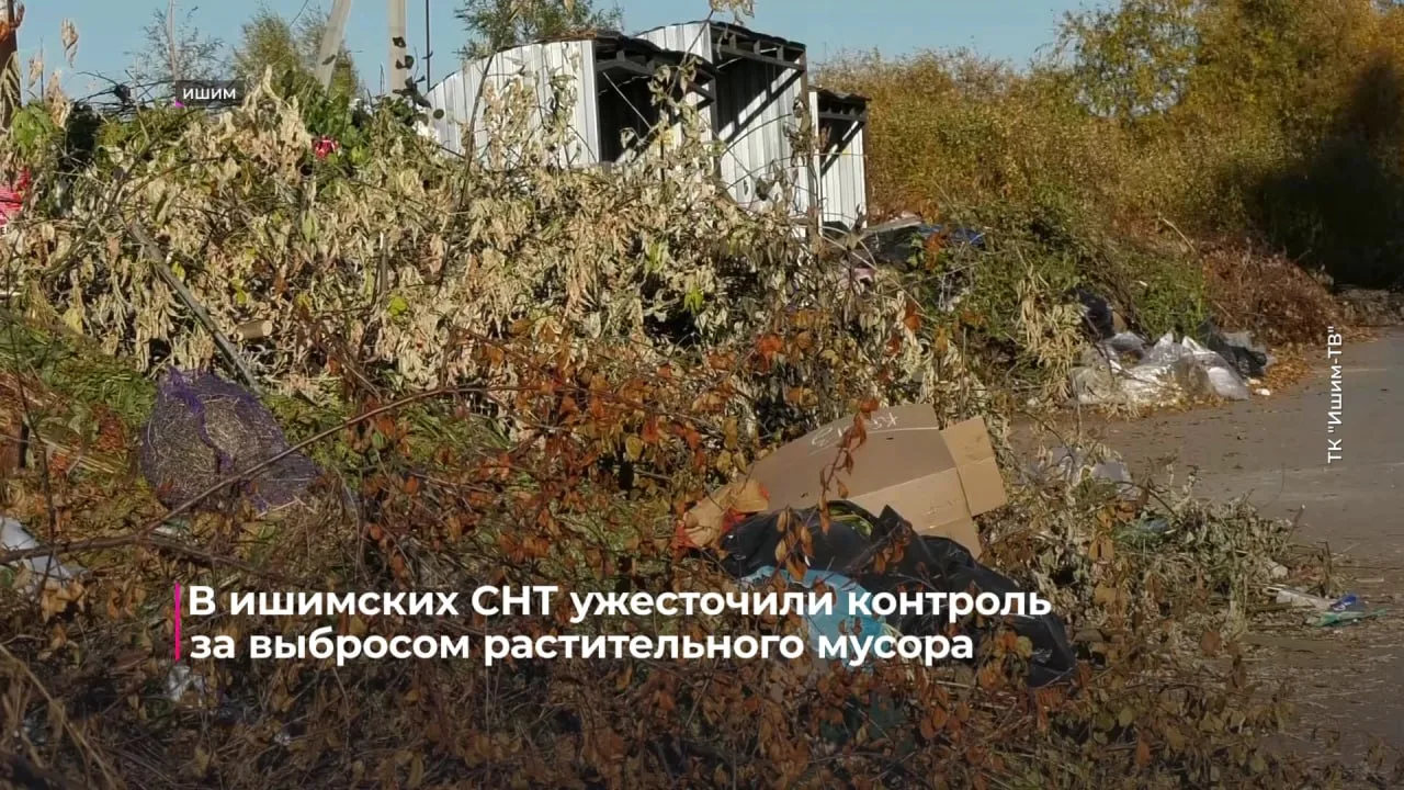 За последние 1,5 месяца в Ишиме составлено около 20 протоколов по факту складирования р...