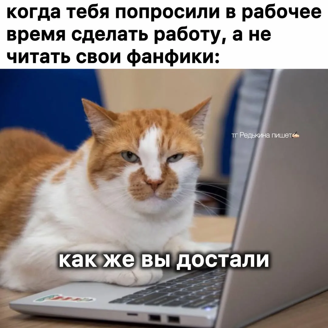 да блин