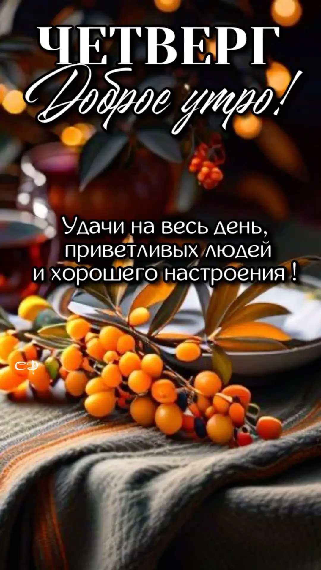 🎁Поздравления и открытки