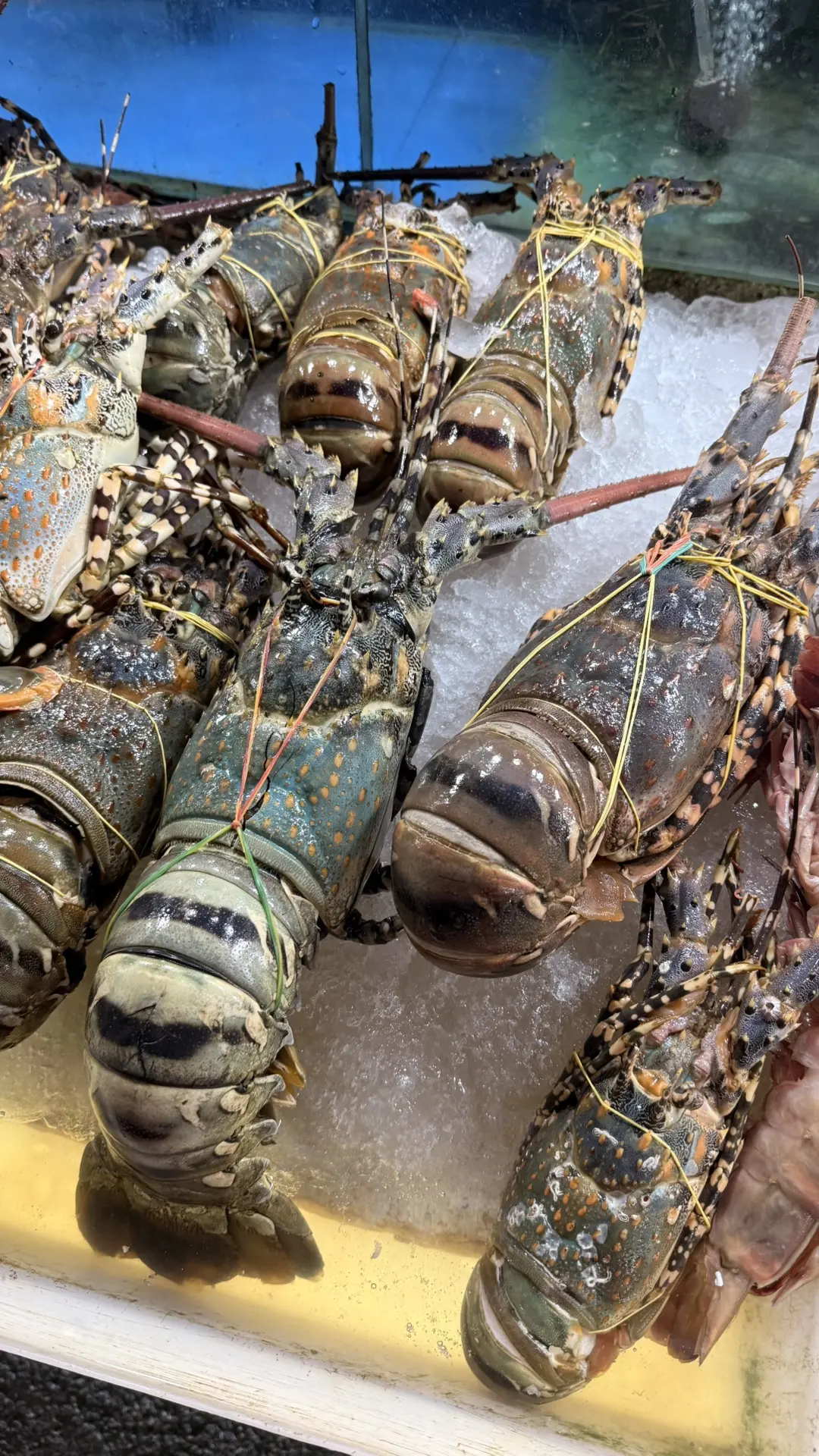 Не думала, что я это скажу, но я наелась морепродуктов.