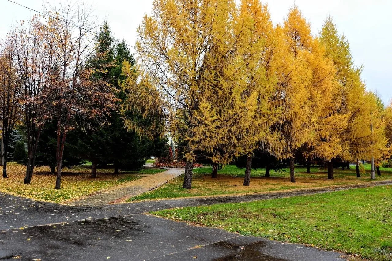 Осеннее буйство красок в Парке Чудес 🍂