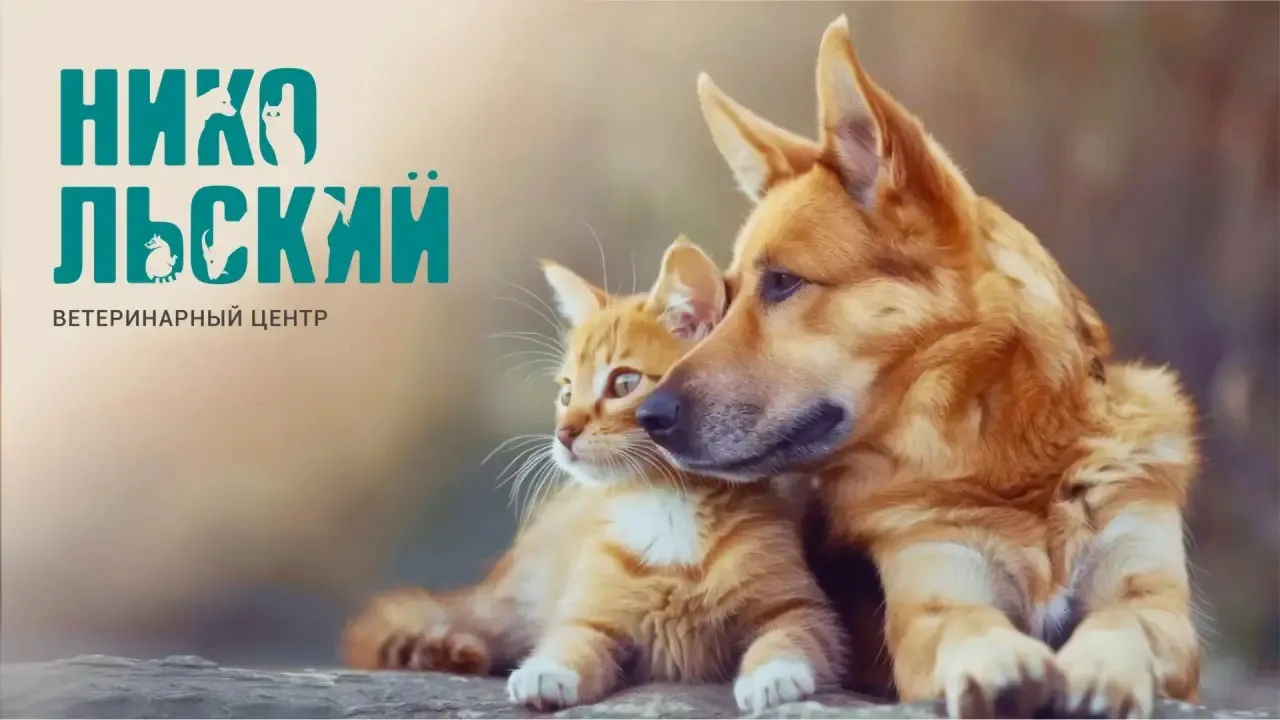 🐾 РОЗЫГРЫШ для хозяев пушистых, хвостатых и усатых!
