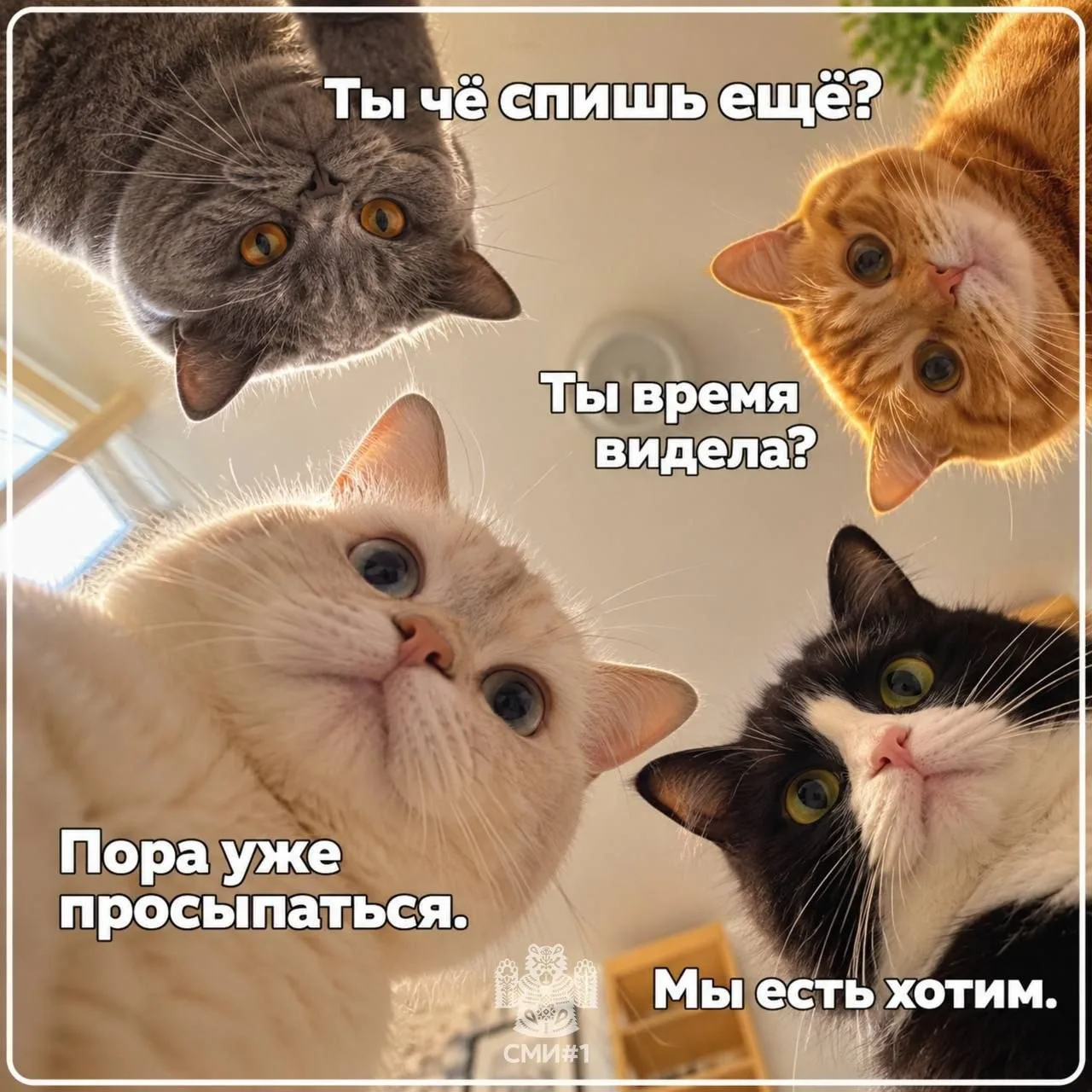 ☀️ Доброе утро