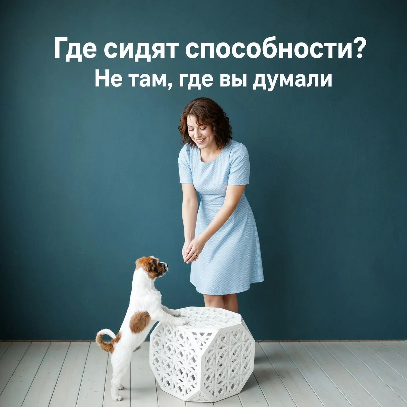 Все мы слышали про врожденные таланты. Мол, родился человек и сразу ясно: либо Моцарт, ...