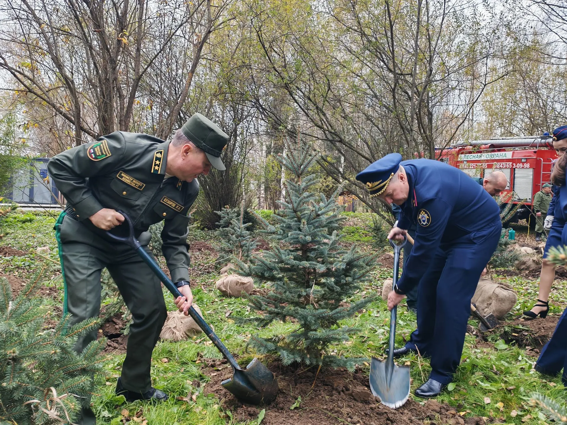 Офицеры следственного управления высадили саженцы в природном заказнике «Голубые озера»