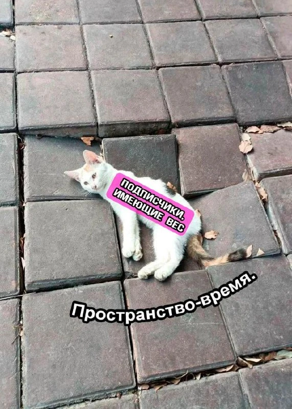 Народ, 14 и 15 октября буду на MPSTATS EXPO. Я доселе ни разу не был, но в феврале Точк...