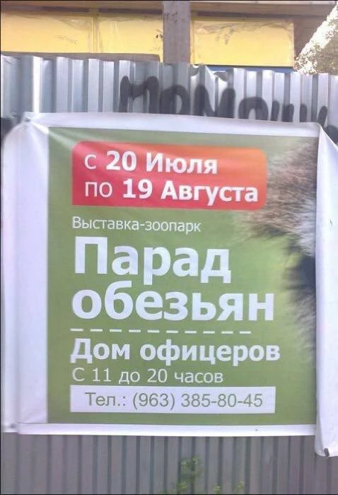 🟢 Дом офицеров и парад, но обезьян. Дожили. Ебануться если честно.