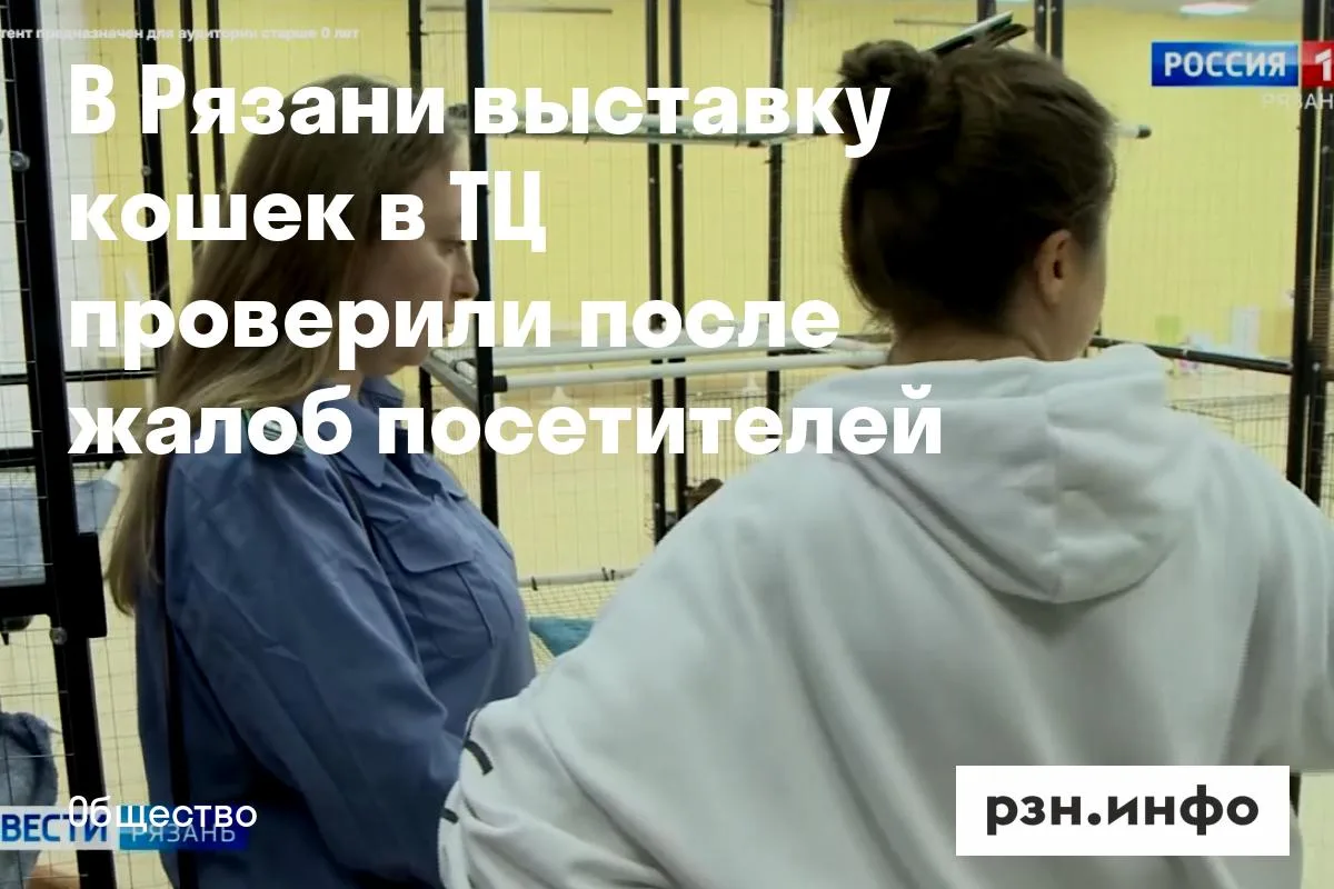 В Рязани выставку кошек в ТЦ проверили после жалоб посетителей