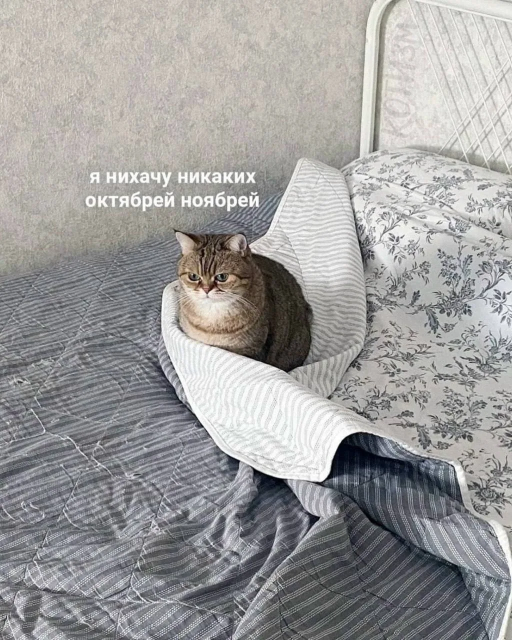 Настроение такое на осень.