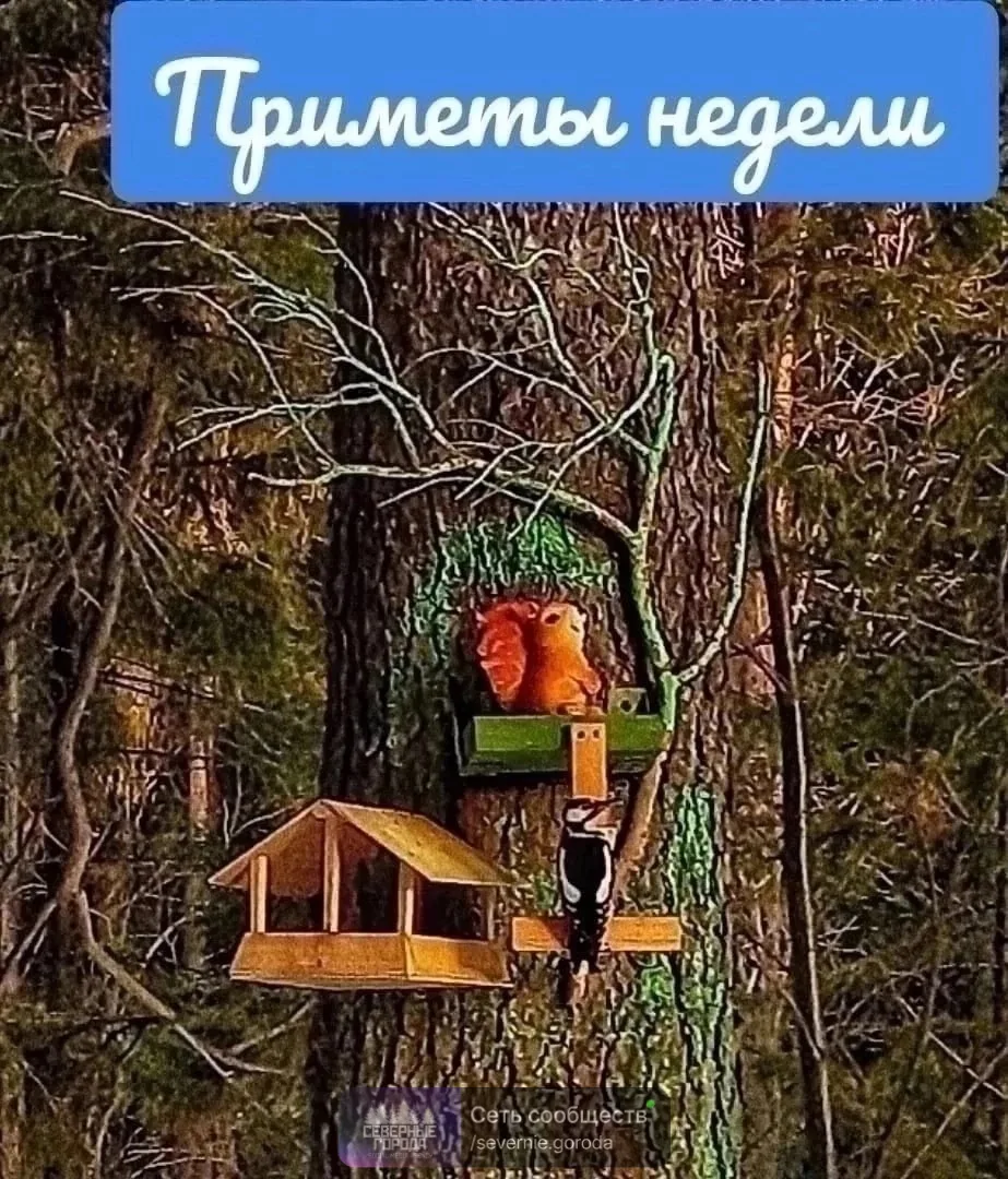 1⃣2⃣ октября