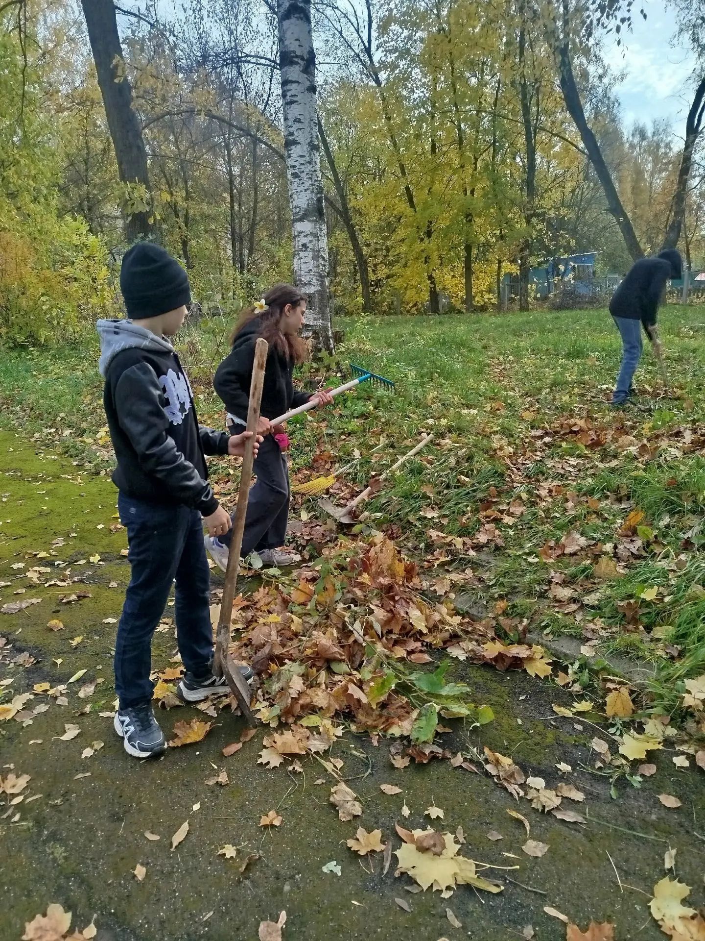 🌳🍁🍂Сегодня в нашей школе прошёл осенний субботник по уборке пришкольной территории, ...