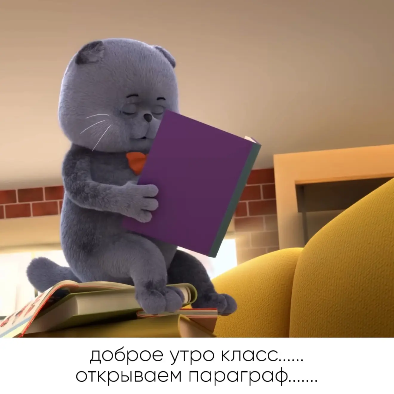 ей богу, мы старались держать глаза открытыми 😴